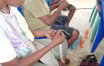 Pohon Ganemo sudah di kenal sejak lama oleh masyarakat papua, pohon tersebar di Hutan dan di Lingkungan kampung, Kaum Perempuan memanfaatkan Pohon Ganemo, Daunnya di buat sayuran untuk makanan harian dan kulit kayunya nya mereka buat menjadi Tali sebagai Bahan untuk membuat Noken, Tas khas Papua 